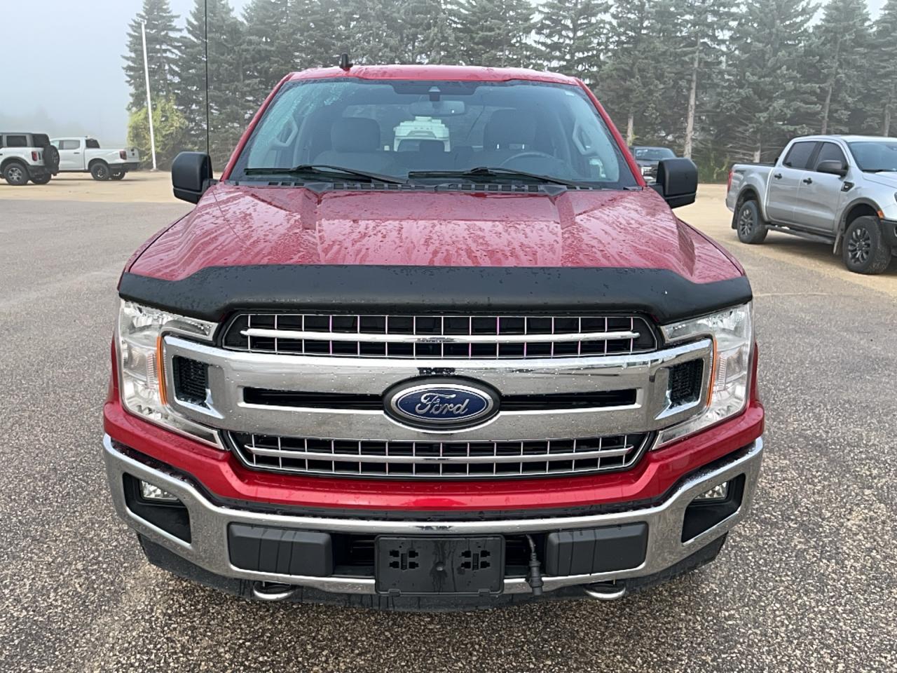 2020 Ford F-150 XLT 4WD SuperCrew 5.5' Box Photo1