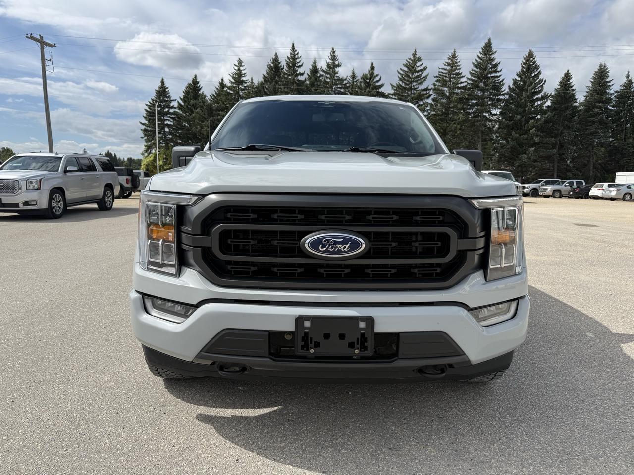 2023 Ford F-150 XLT 4WD SuperCrew 5.5' Box Photo2