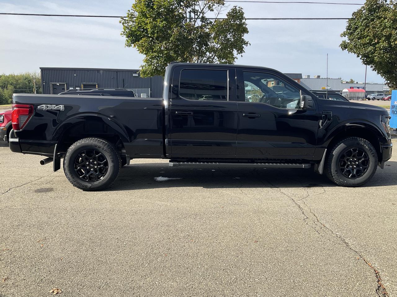 2026 Ford F-150 XLT Photo4