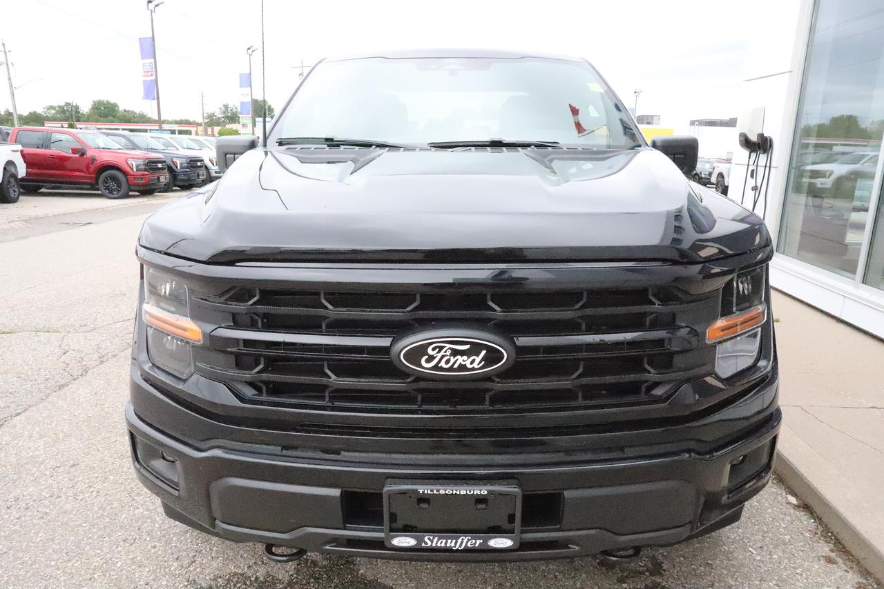 2026 Ford F-150 XLT 4WD SuperCrew 5.5' Box Photo
