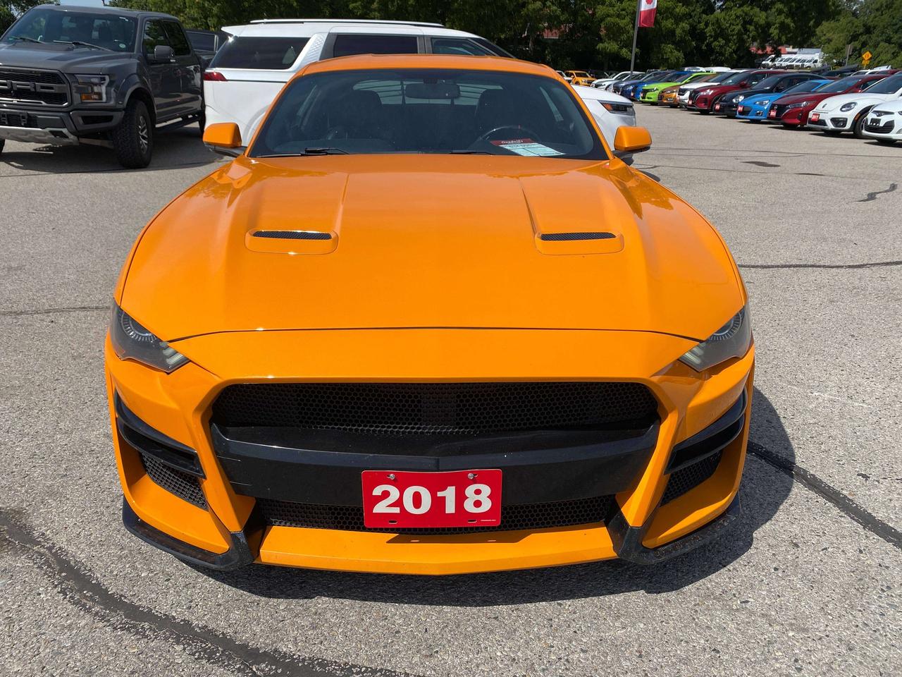 2018 Ford Mustang GT PREMIUM, HEATED LEATHER, REMOTE START! Photo