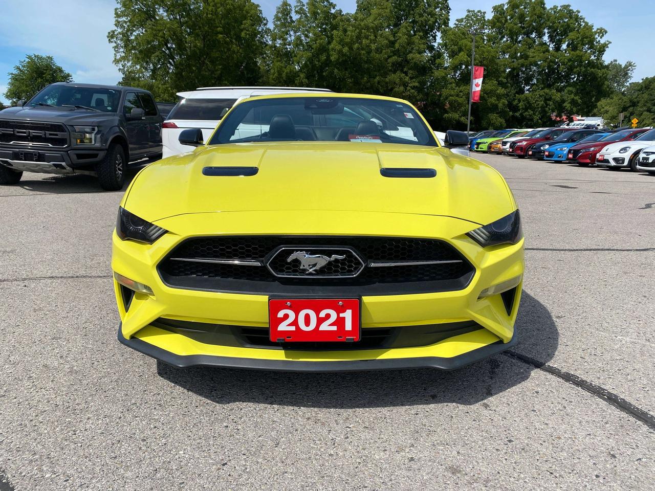 2021 Ford Mustang PREMIUM, CLEAN CARFAX, BACK UP CAM, LEATHER! - Photo #3
