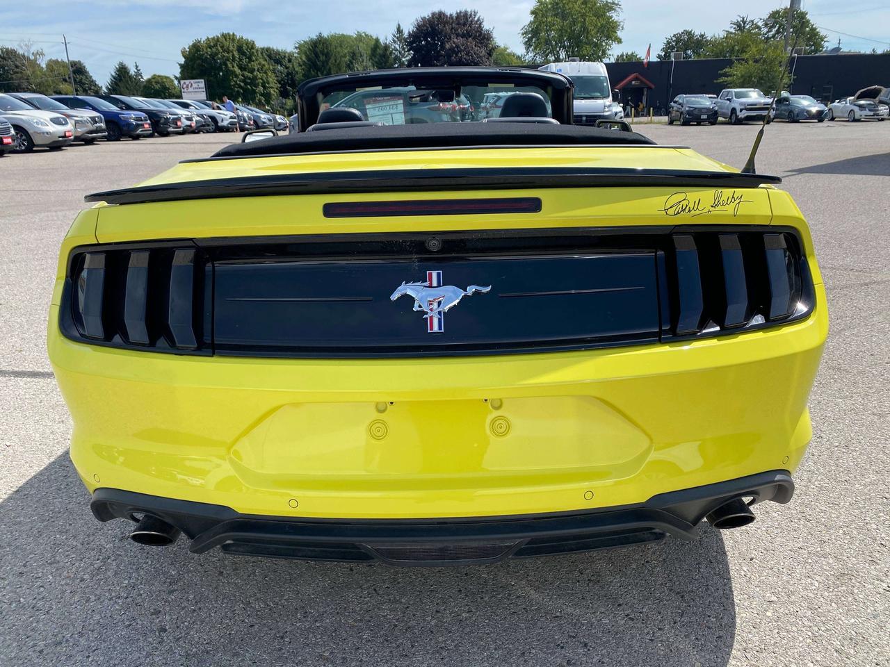 2021 Ford Mustang PREMIUM, CLEAN CARFAX, BACK UP CAM, LEATHER! - Photo #7
