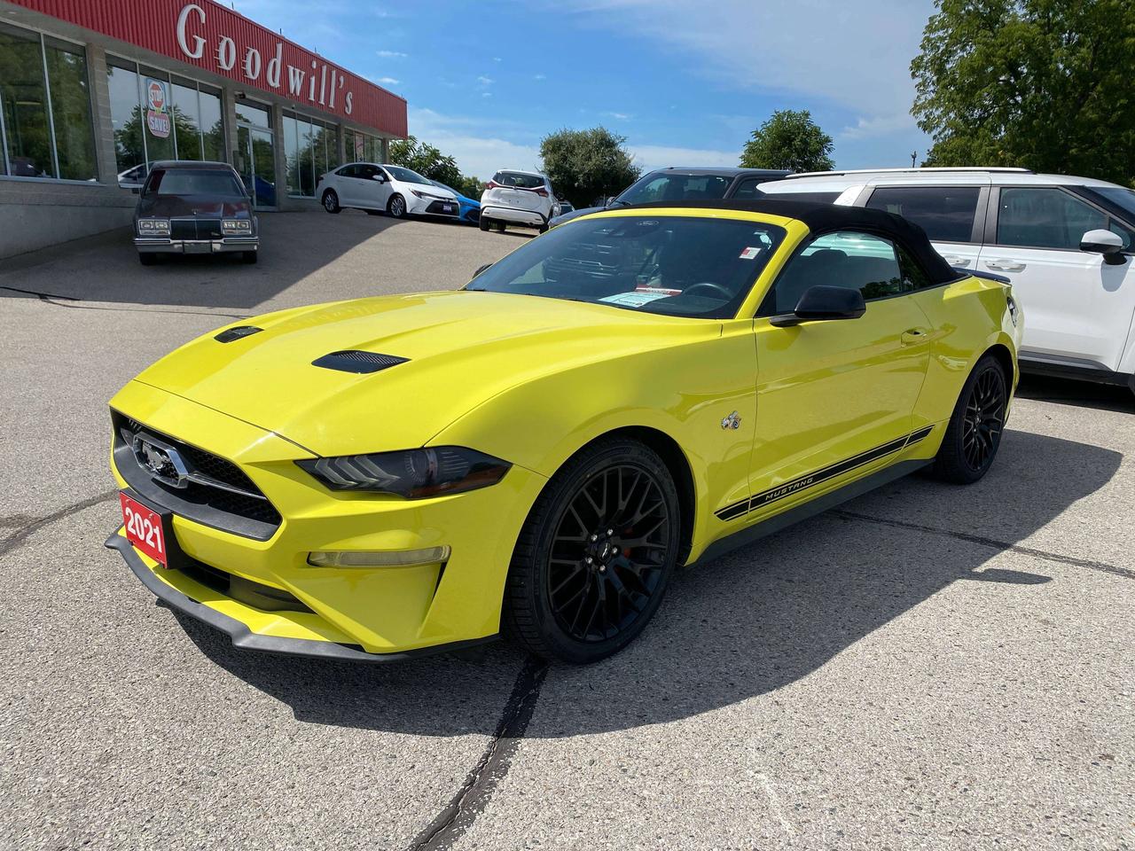 2021 Ford Mustang PREMIUM, CLEAN CARFAX, BACK UP CAM, LEATHER! - Photo #19