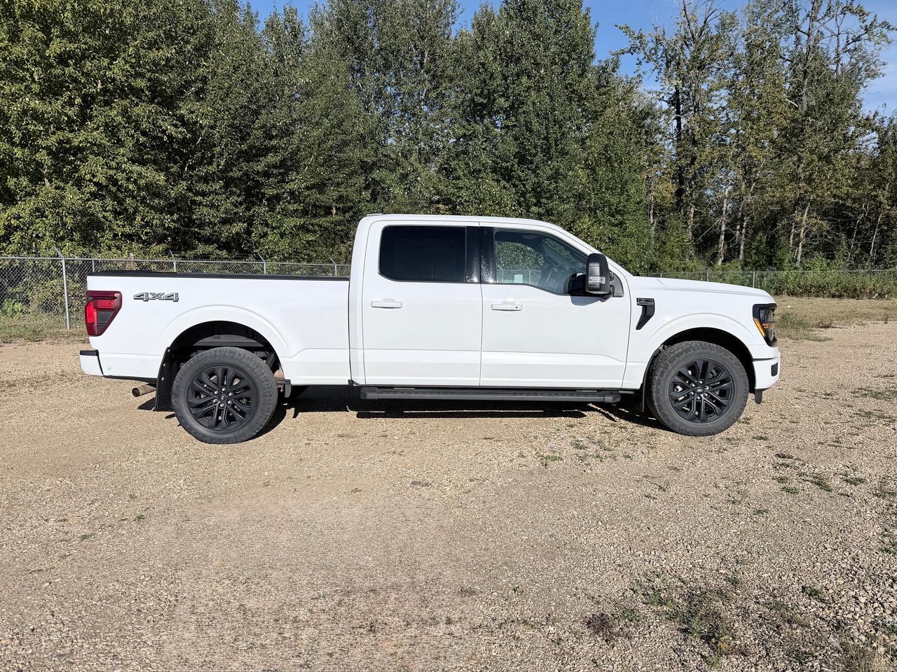 2025 Ford F-150 XLT Photo3