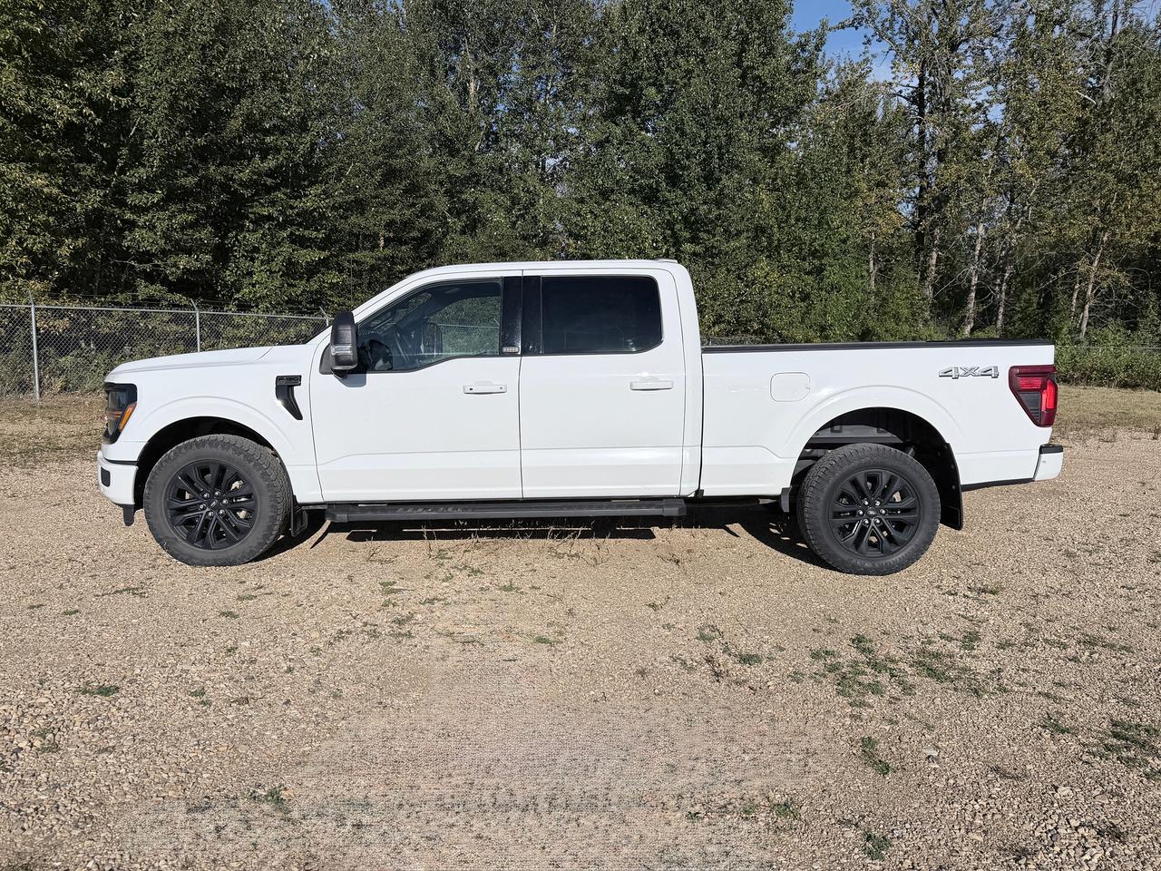 2025 Ford F-150 XLT Photo1