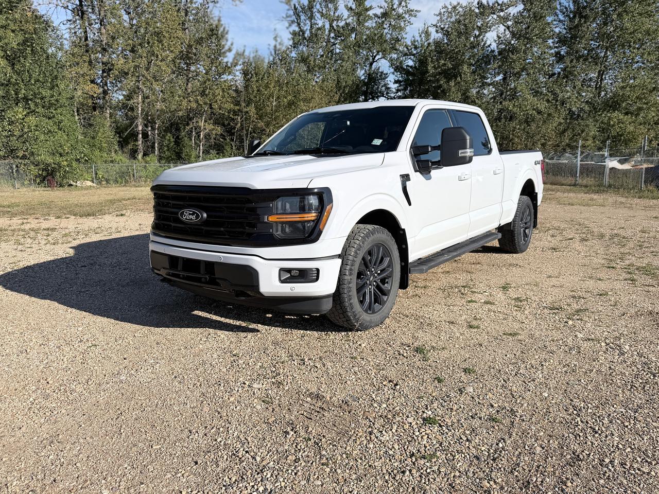 2025 Ford F-150 XLT Photo0
