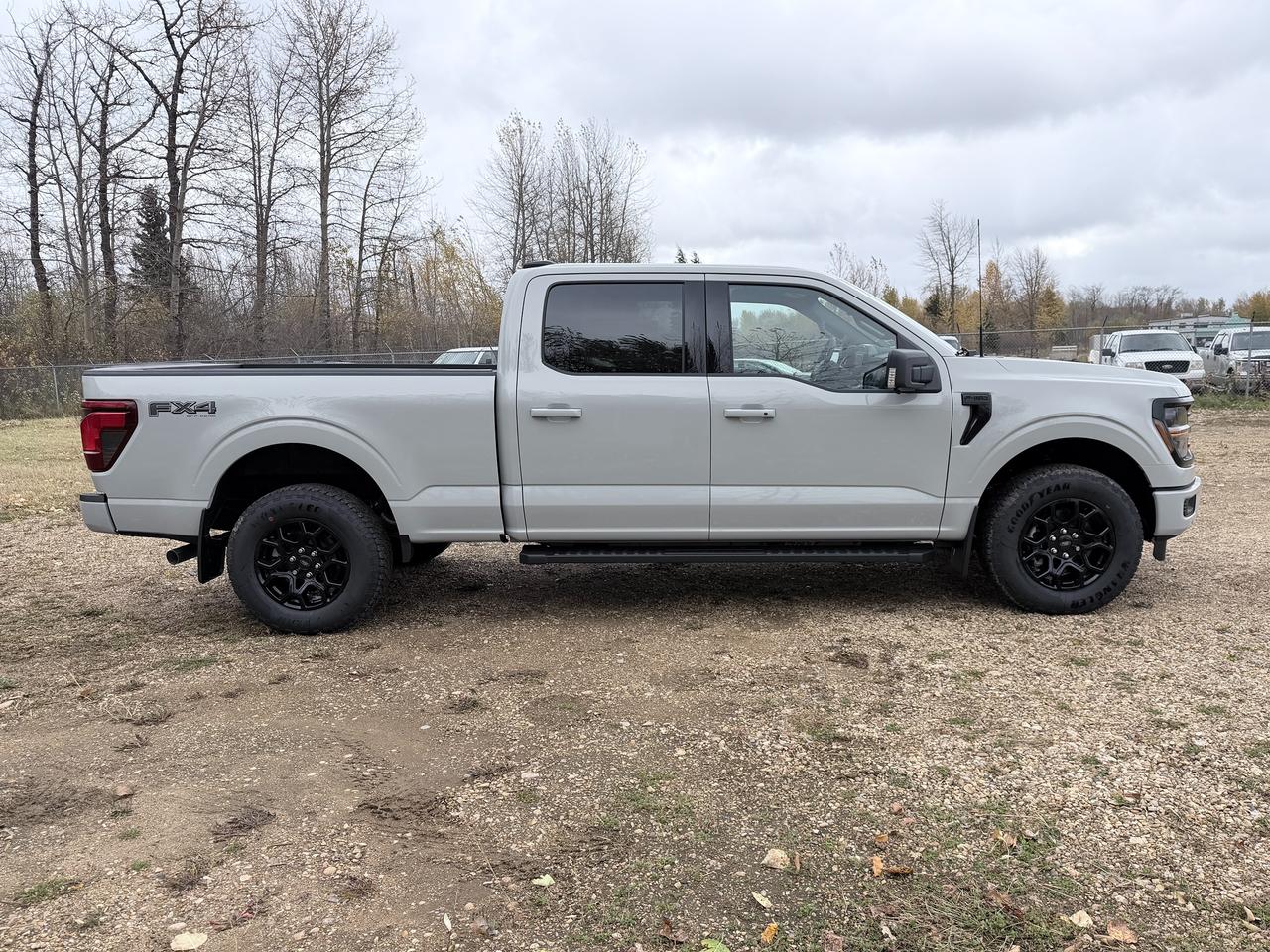 2026 Ford F-150 XLT Photo3