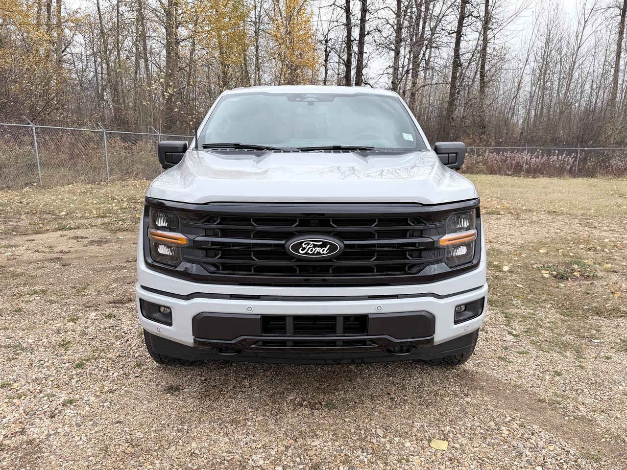 2026 Ford F-150 XLT Photo1
