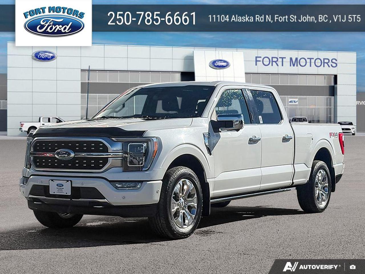 2022 Ford F-150 Platinum Photo1