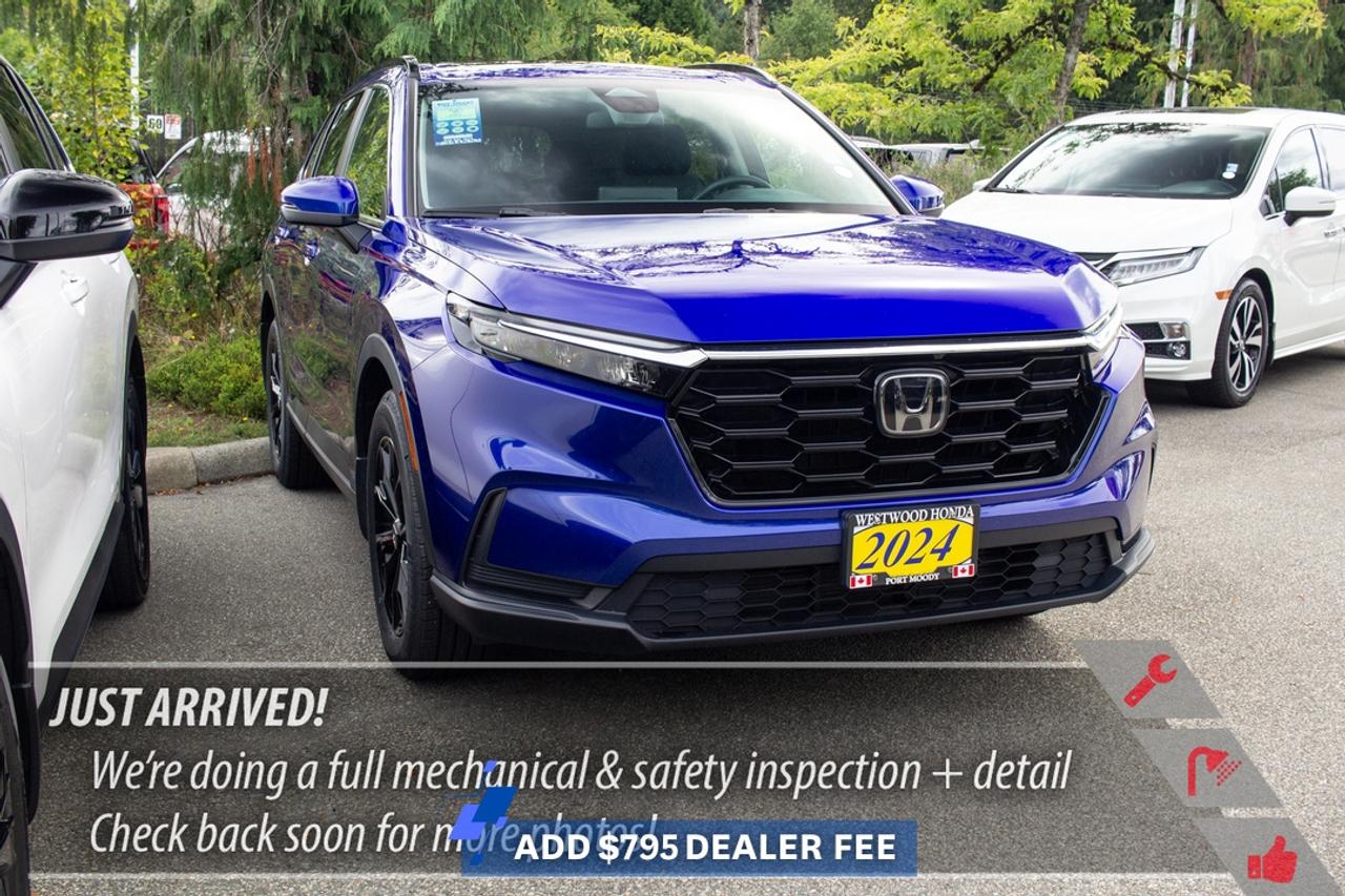 Sport AWD