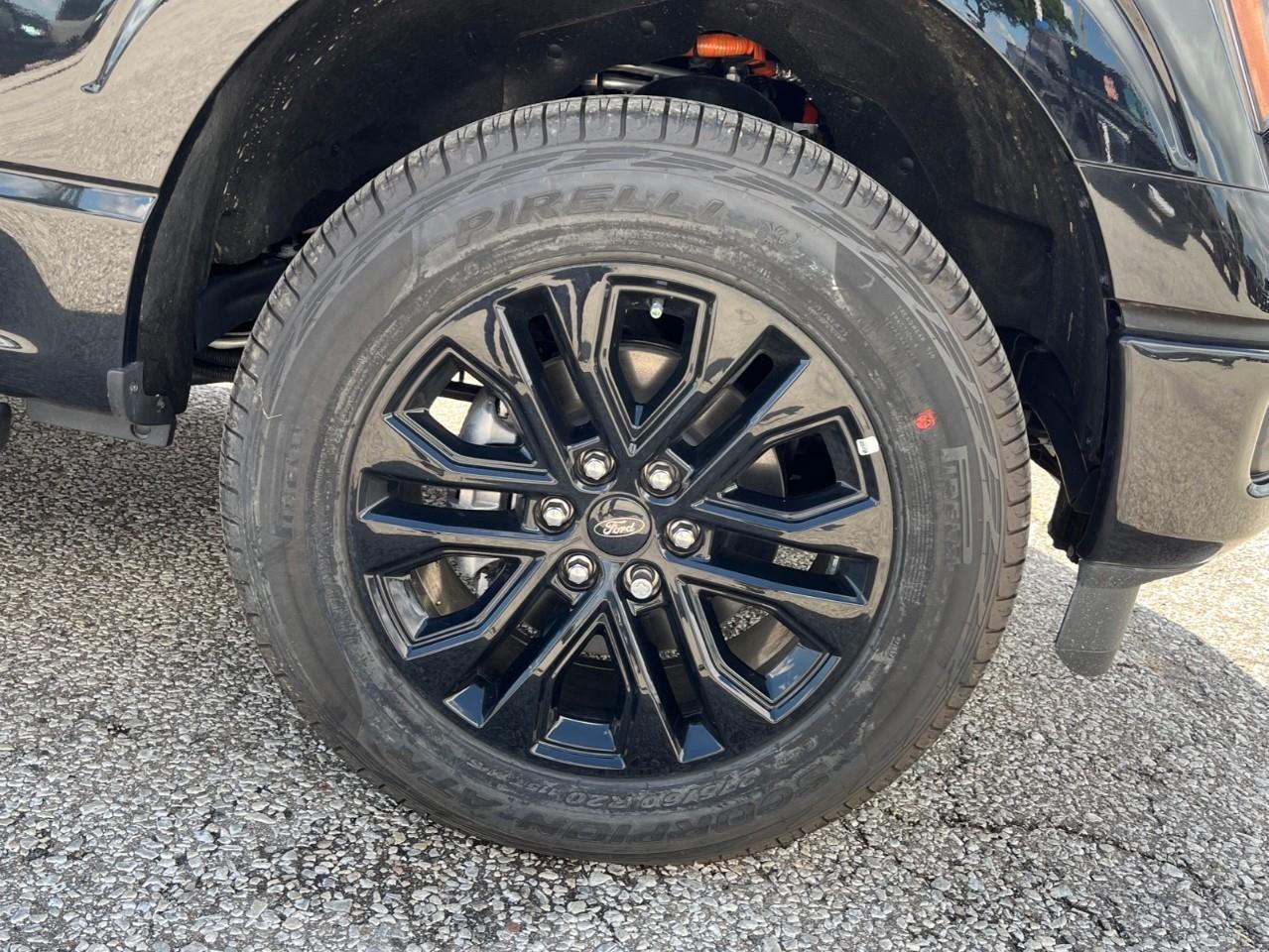 2026 Ford F-150 XLT Photo
