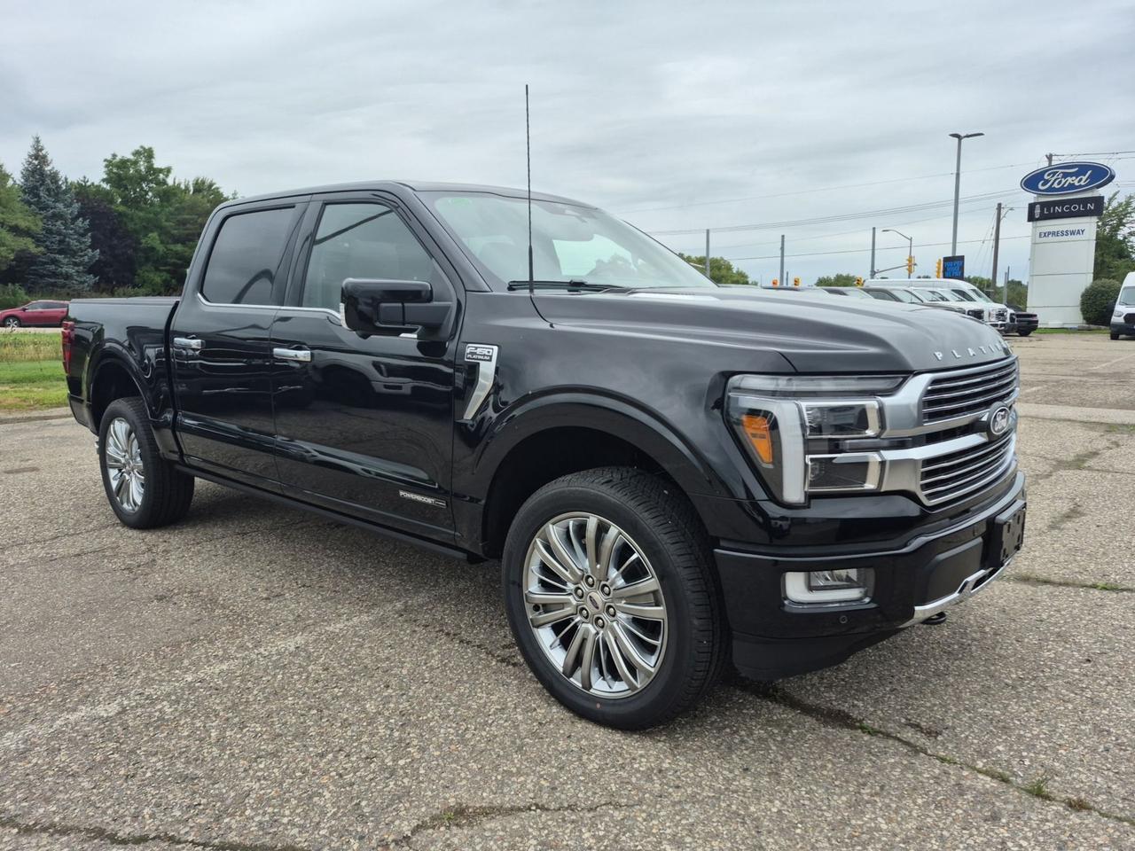 2026 Ford F-150 PLATINUM HYBRID!!! LOADED, TWIN PANEL MOONROOF Photo2