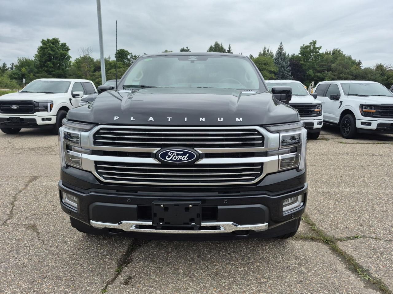 2026 Ford F-150 PLATINUM HYBRID!!! LOADED, TWIN PANEL MOONROOF Photo1