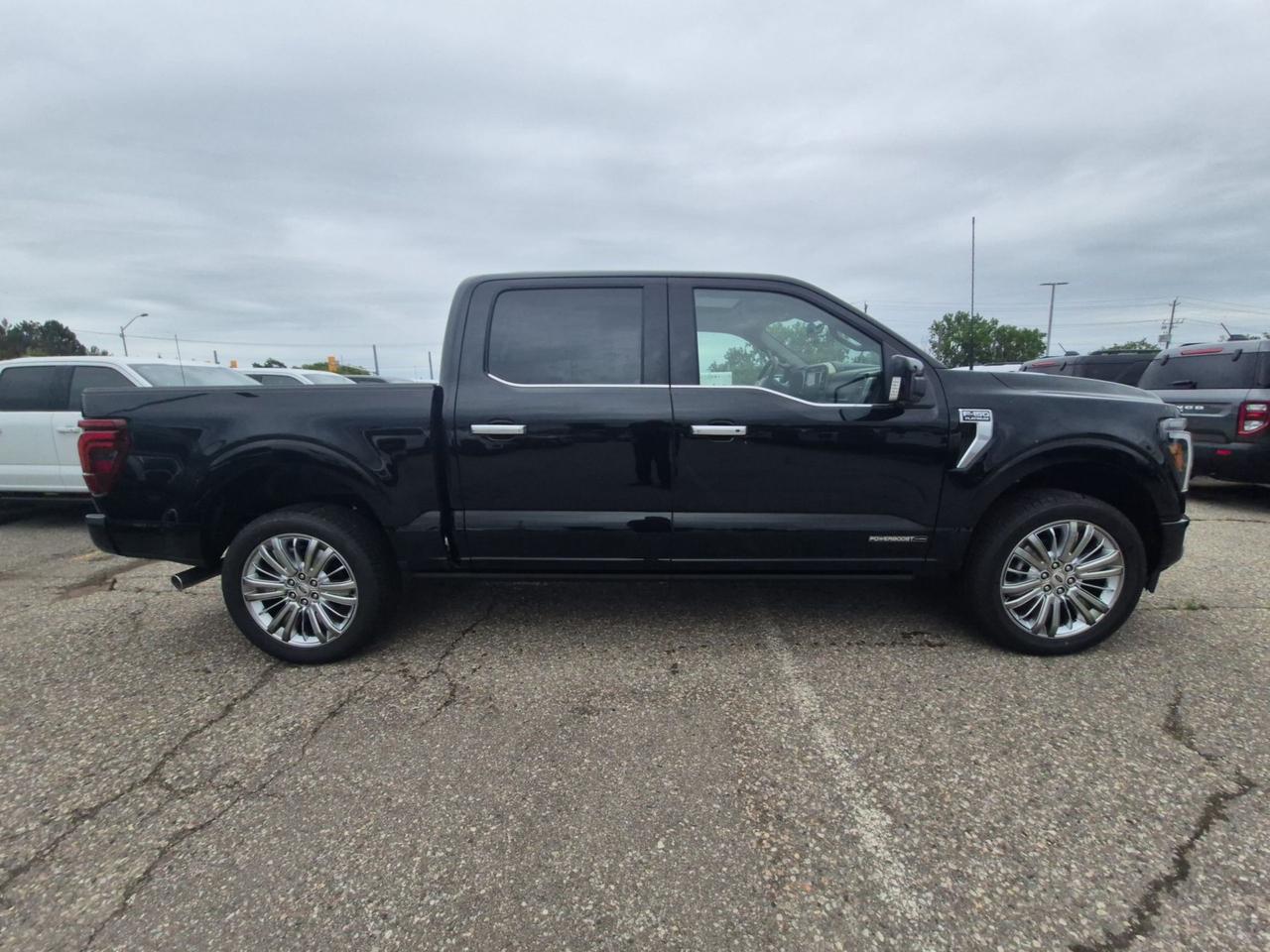 2026 Ford F-150 PLATINUM HYBRID!!! LOADED, TWIN PANEL MOONROOF Photo3