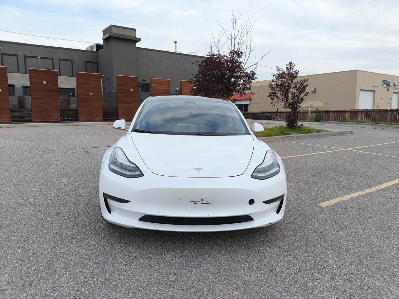 2020 Tesla Model 3  Photo