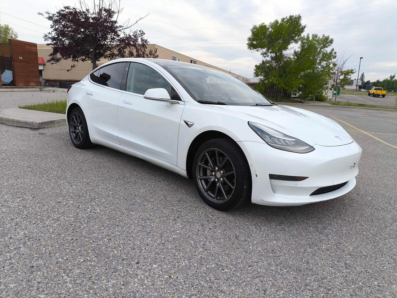 2020 Tesla Model 3  - Photo #3