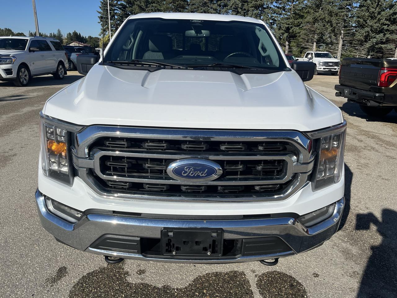 2022 Ford F-150 XLT 4WD SuperCrew 5.5' Box Photo1