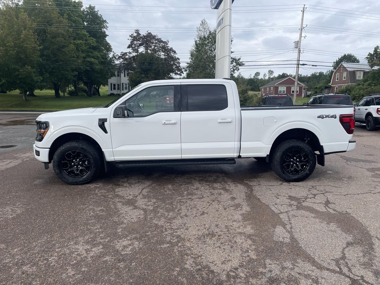 2026 Ford F-150 XLT Photo3