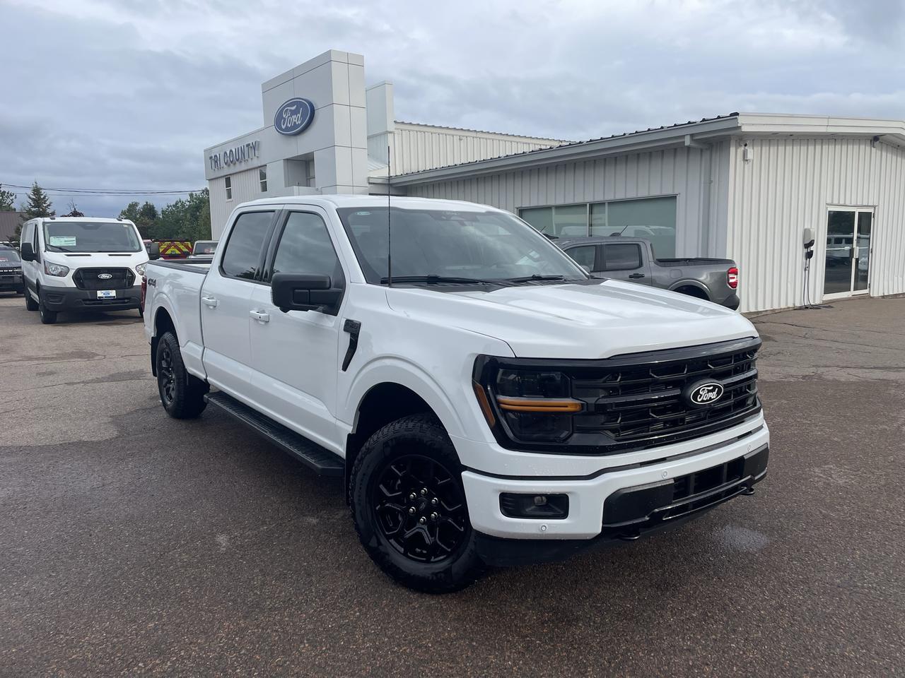 2026 Ford F-150 XLT Photo0