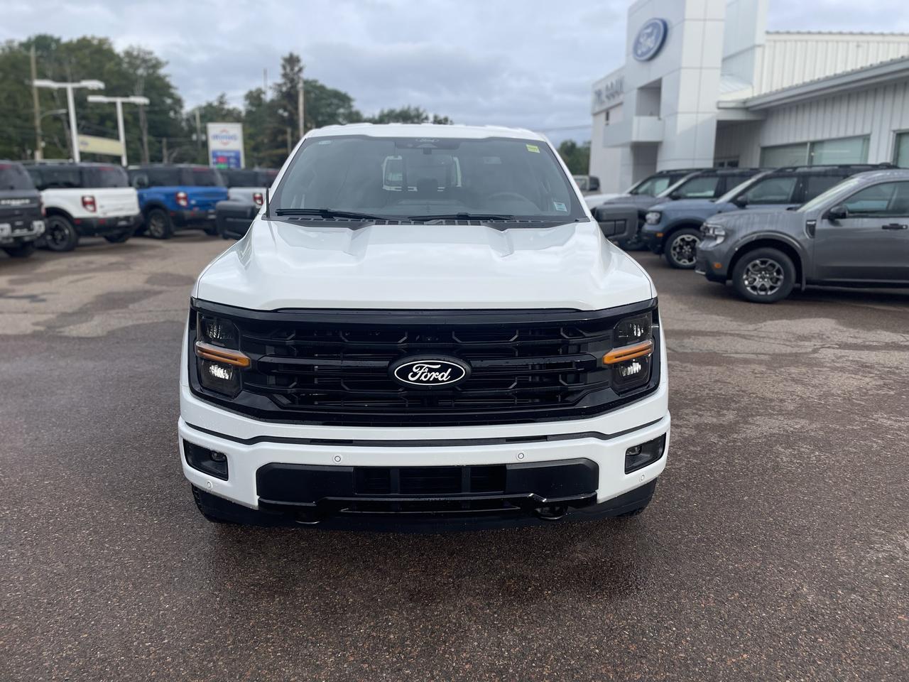 2026 Ford F-150 XLT Photo1