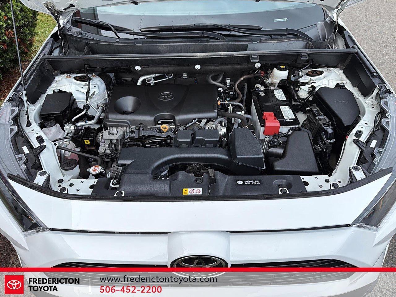 2023 Toyota RAV4 LE Photo