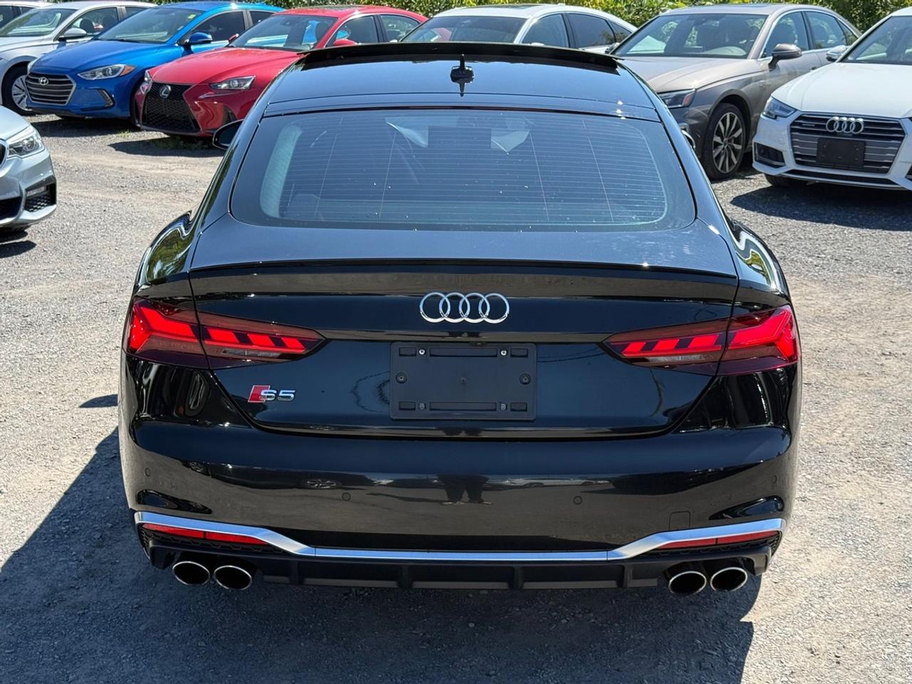 2022 Audi S5 Progressiv Photo