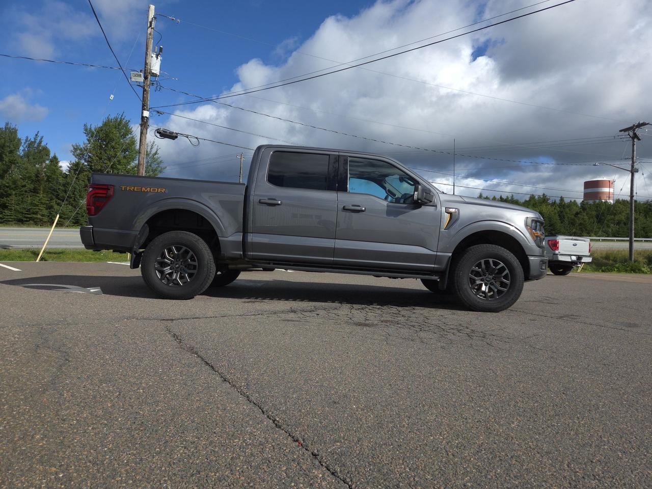 2024 Ford F-150 TREMOR 4WD SUPERCREW 5.5' Photo2