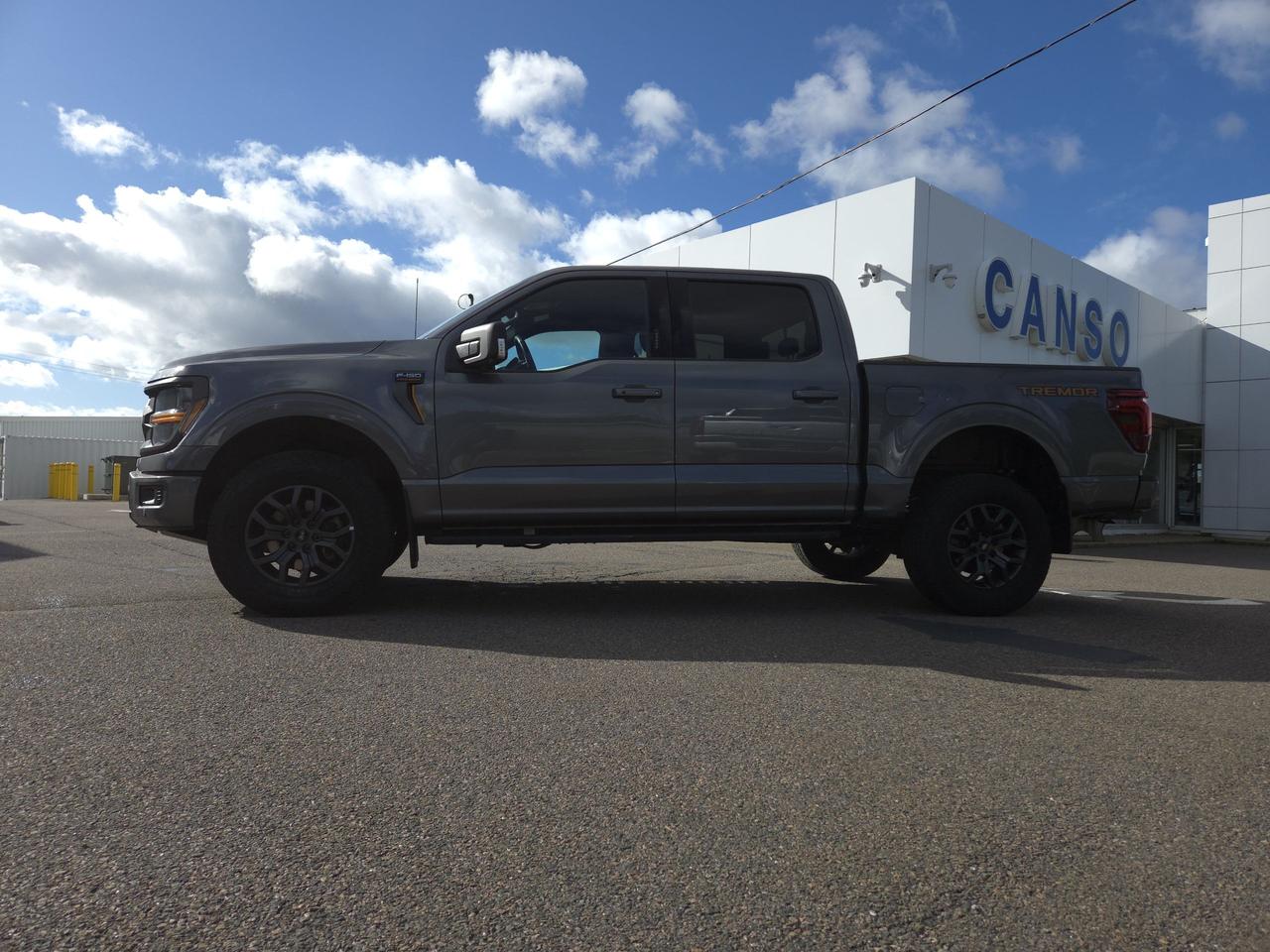 2024 Ford F-150 TREMOR 4WD SUPERCREW 5.5' Photo1