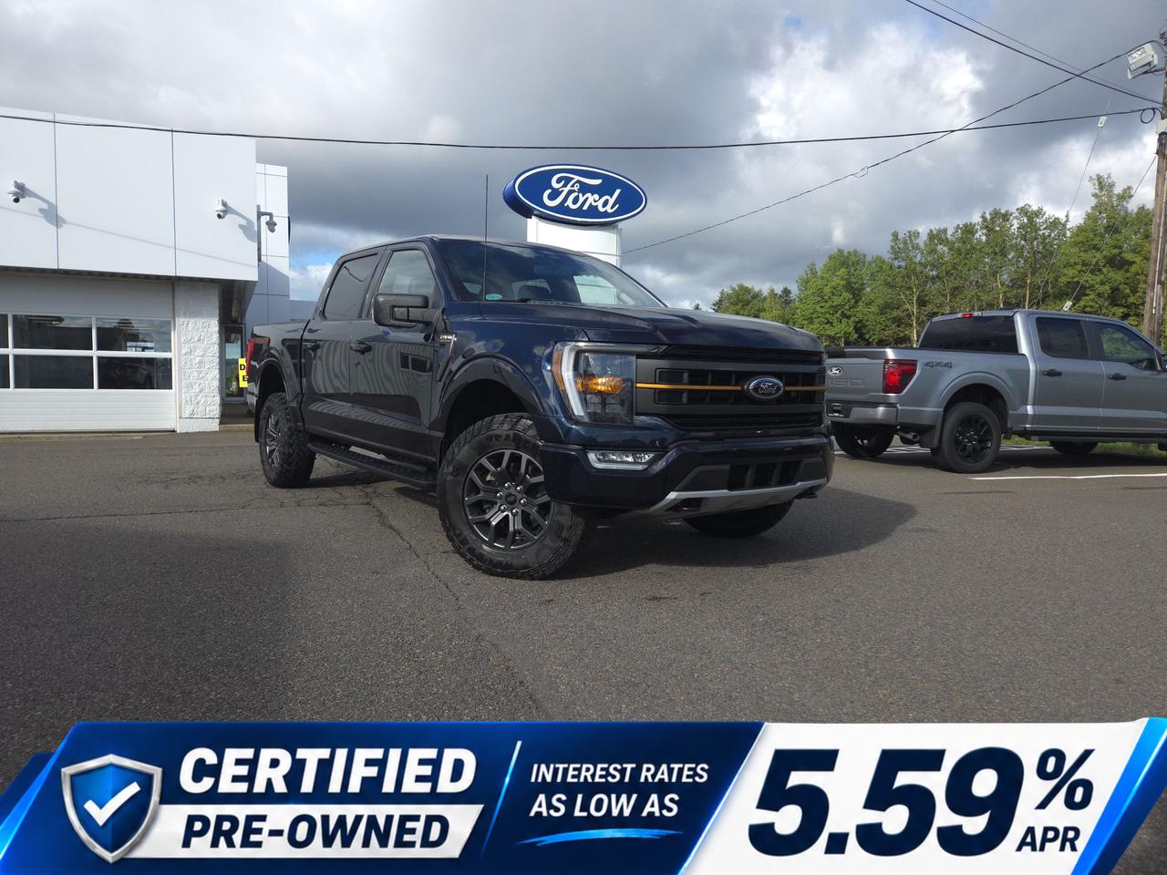 Blue 2022 Ford F-150 Pickup Truck Four-Wheel Drive Automatic