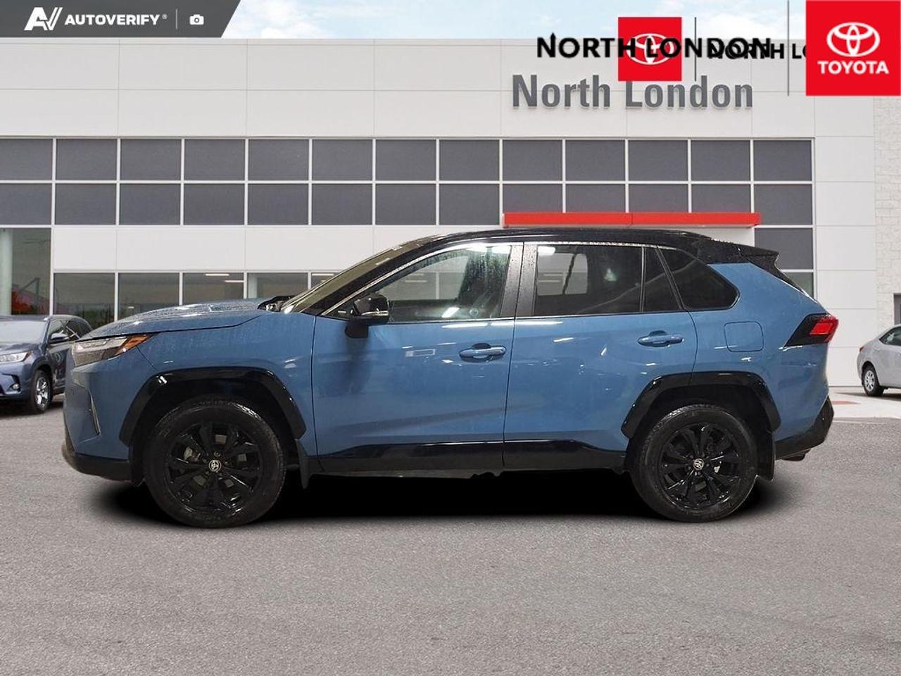 2024 Toyota RAV4 Hybrid XSE 4dr All-Wheel Drive Photo