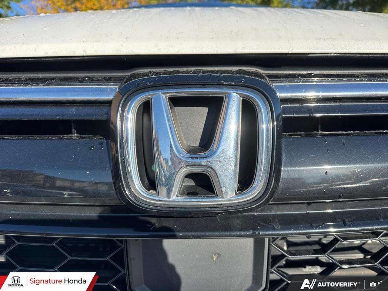 2021 Honda CR-V LX Photo