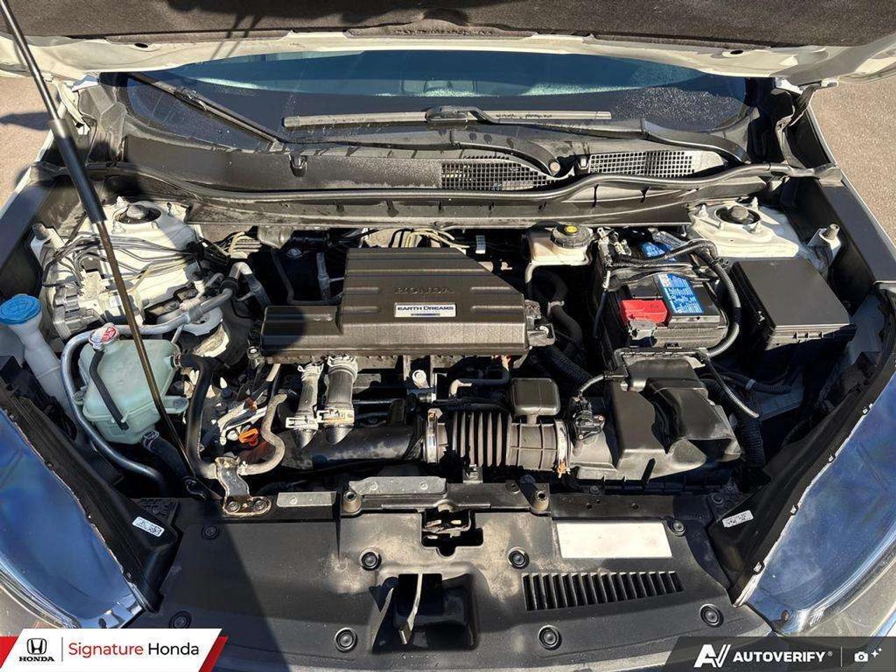 2021 Honda CR-V LX Photo