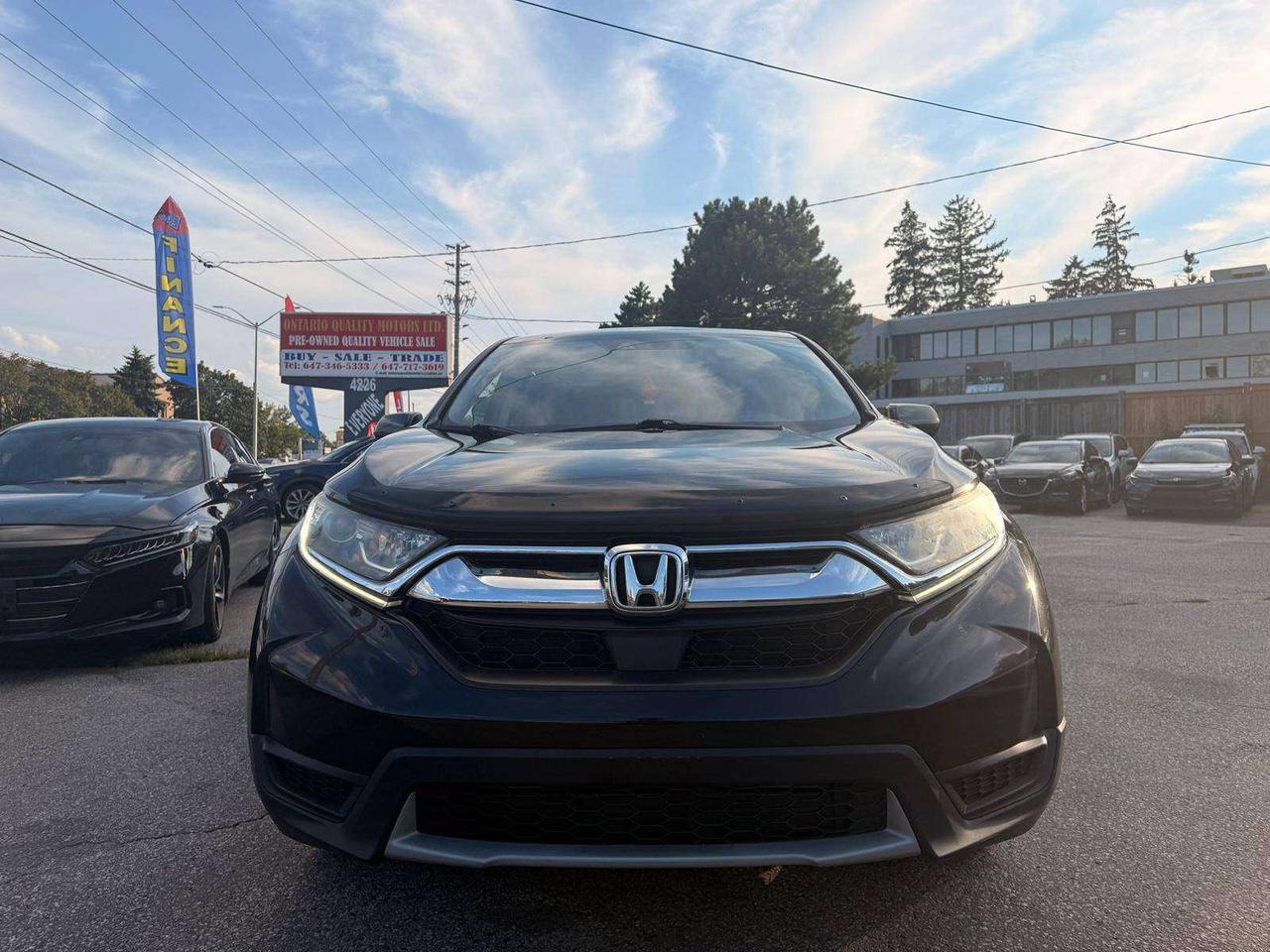 2019 Honda CR-V LX AWD Photo