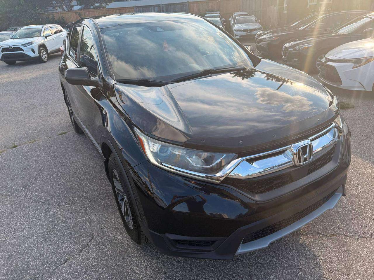 2019 Honda CR-V LX AWD Photo