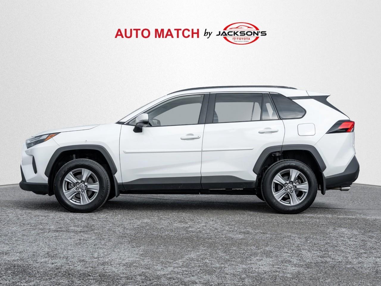 2024 Toyota RAV4 XLE 4dr All-wheel Drive Photo
