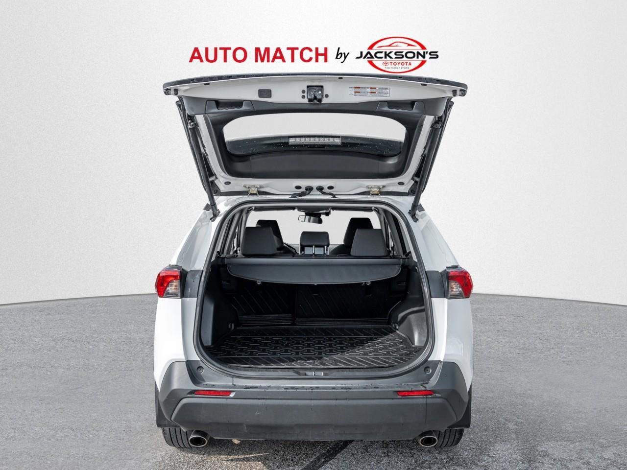2024 Toyota RAV4 XLE 4dr All-wheel Drive Photo