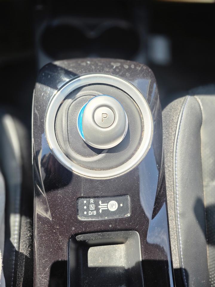 2015 Nissan Leaf SV Photo