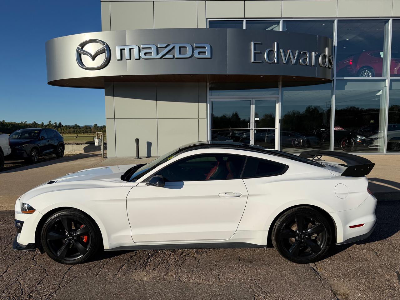 2021 Ford Mustang EcoBoost Premium 2dr Fastback Photo0
