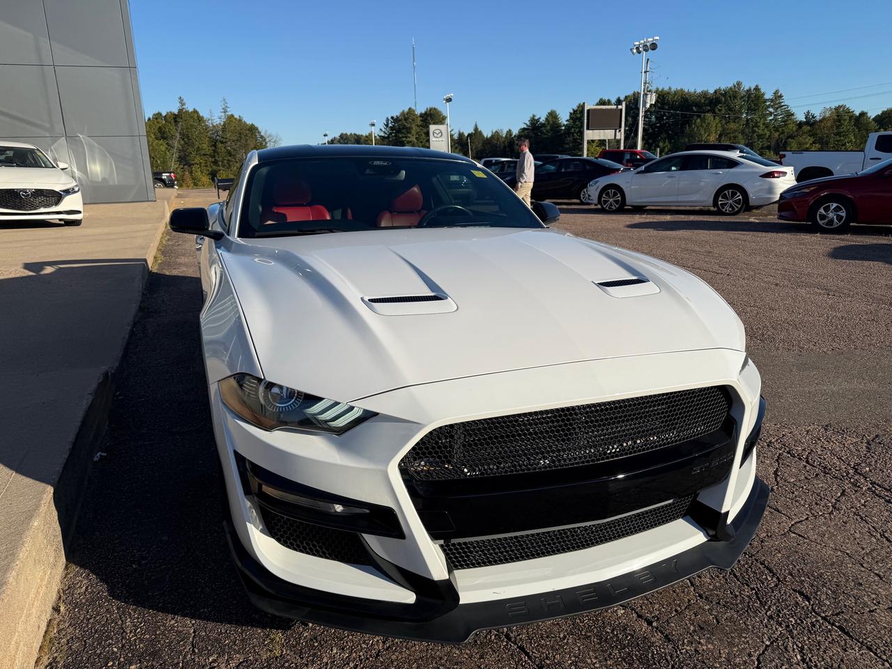 2021 Ford Mustang EcoBoost Premium 2dr Fastback Photo