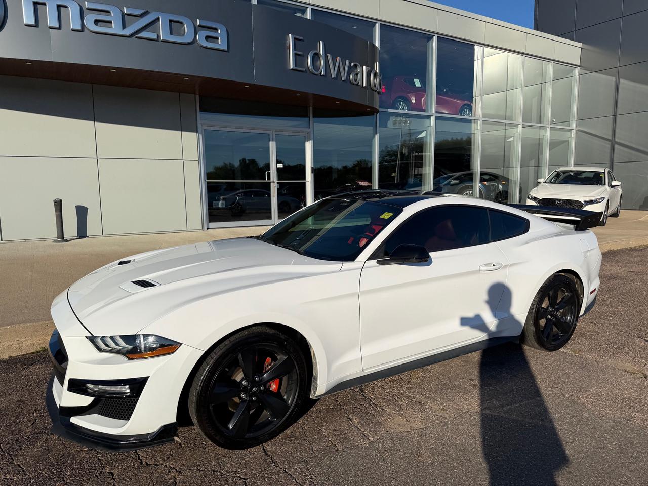 2021 Ford Mustang EcoBoost Premium 2dr Fastback Photo