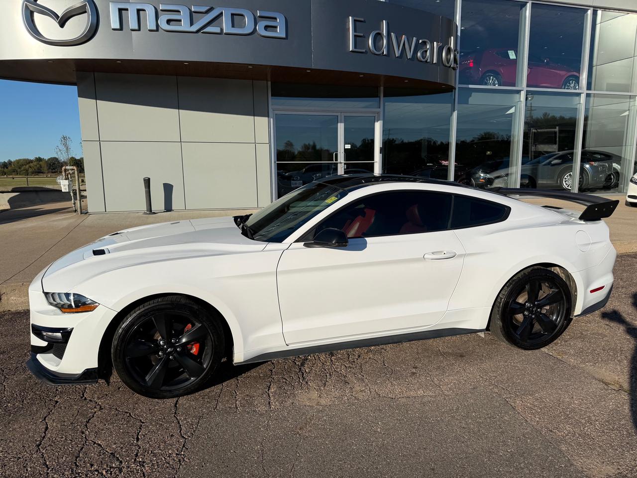 2021 Ford Mustang EcoBoost Premium 2dr Fastback Photo