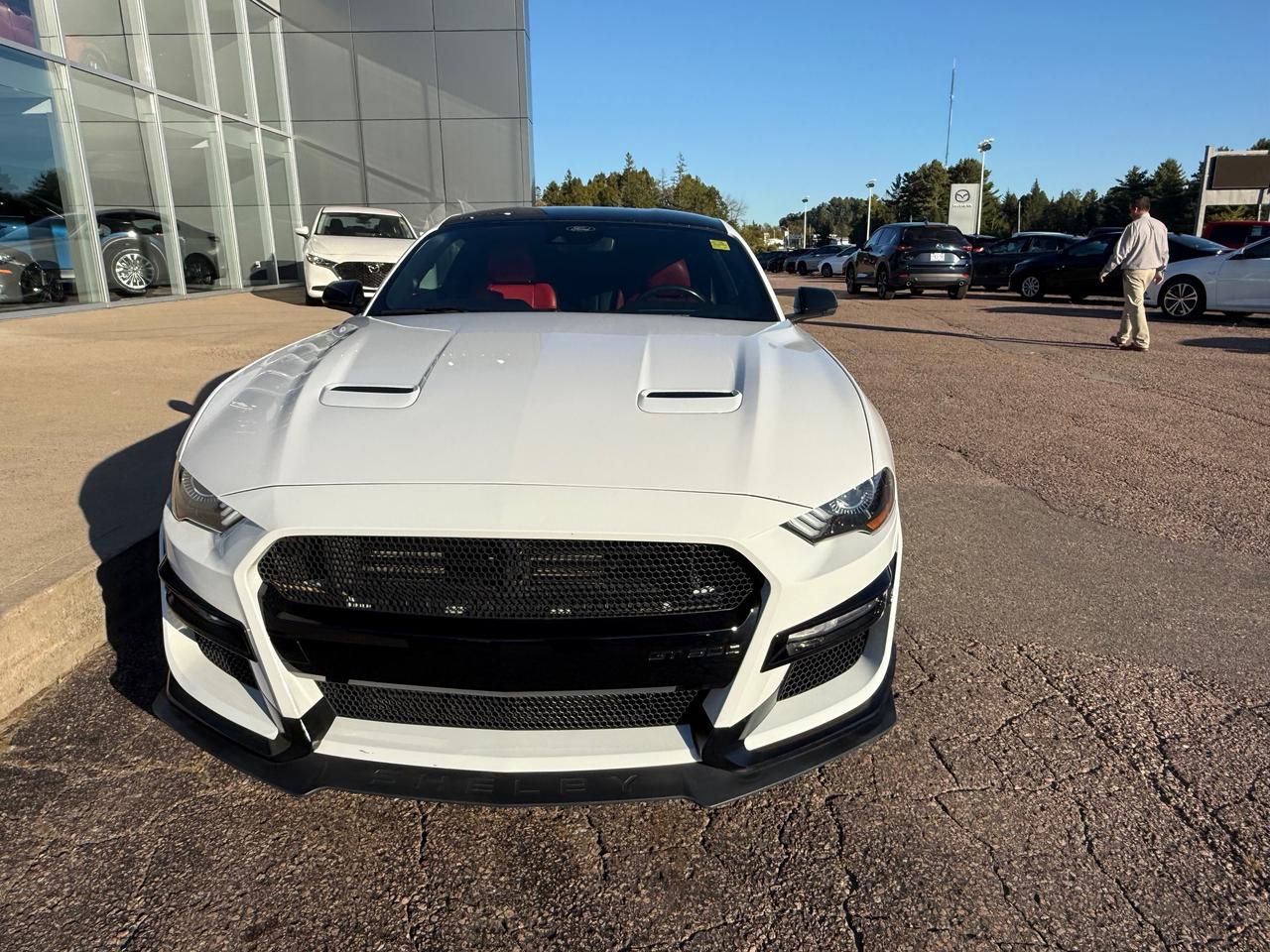 2021 Ford Mustang EcoBoost Premium 2dr Fastback Photo