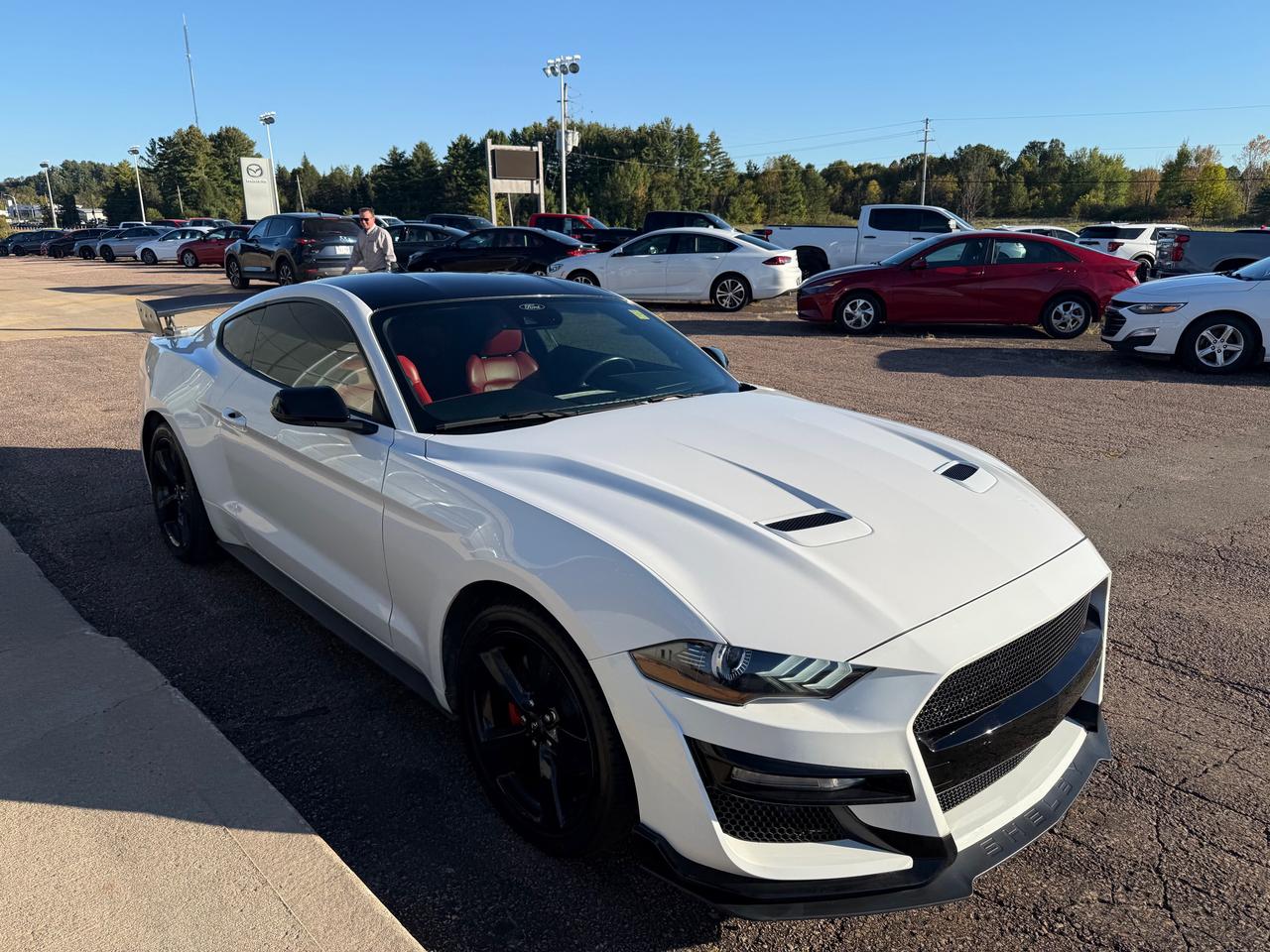 2021 Ford Mustang EcoBoost Premium 2dr Fastback Photo