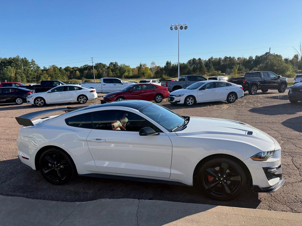 2021 Ford Mustang EcoBoost Premium 2dr Fastback Photo