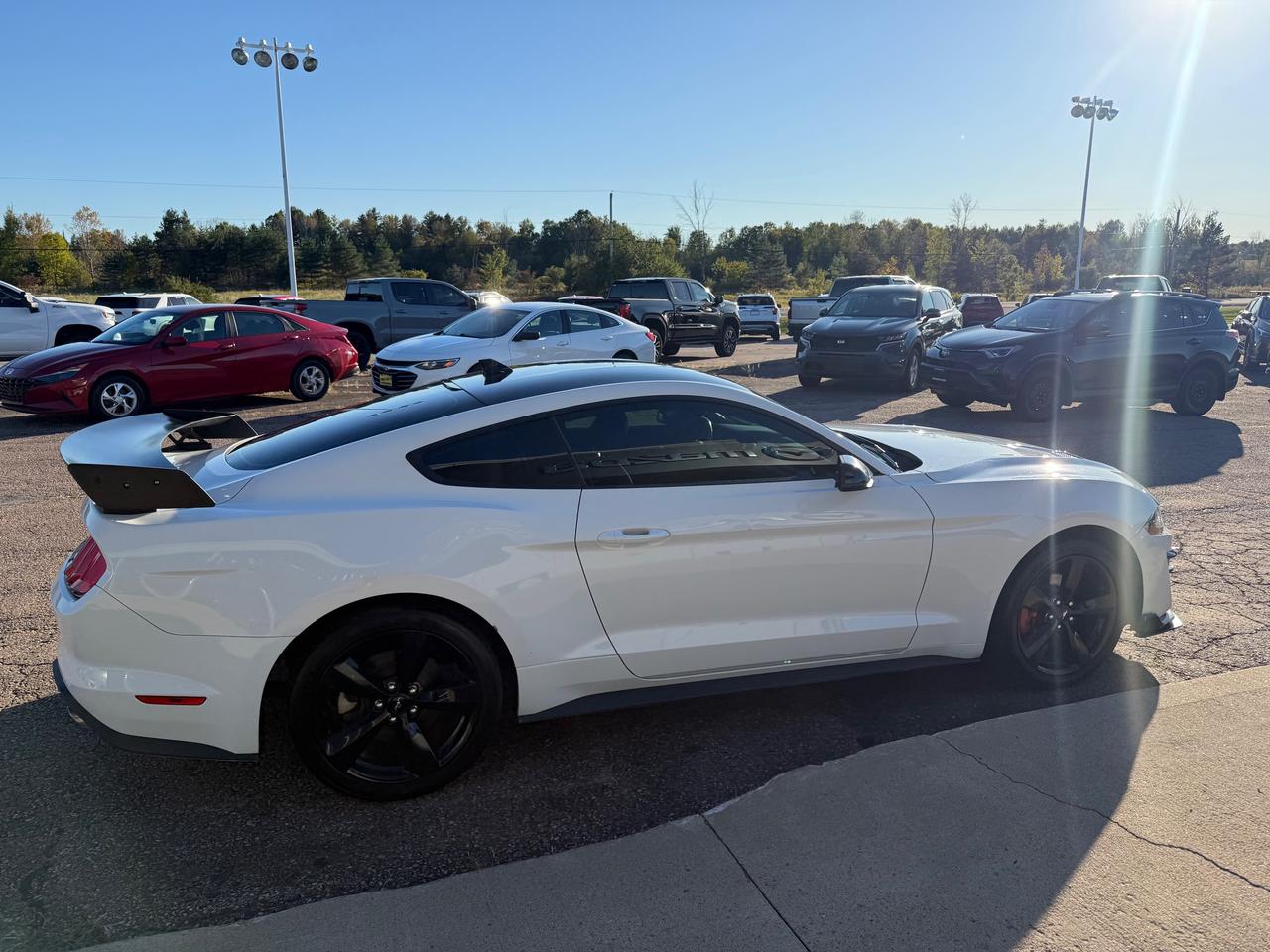 2021 Ford Mustang EcoBoost Premium 2dr Fastback Photo
