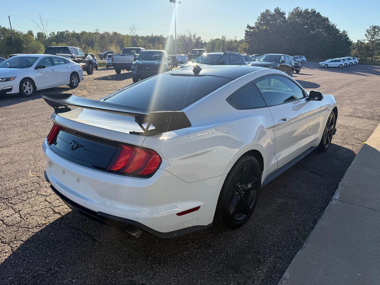 2021 Ford Mustang EcoBoost Premium 2dr Fastback Photo