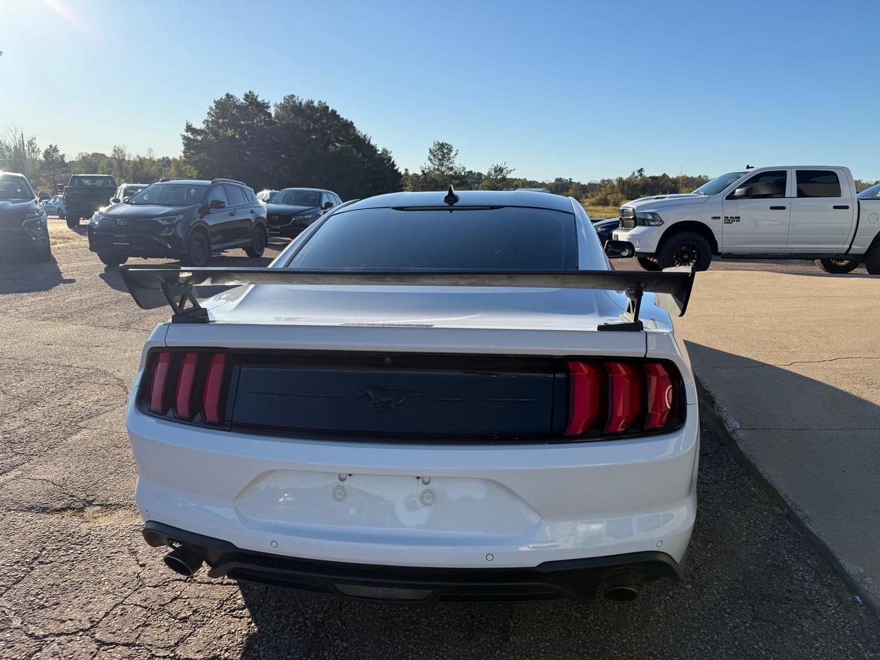 2021 Ford Mustang EcoBoost Premium 2dr Fastback Photo