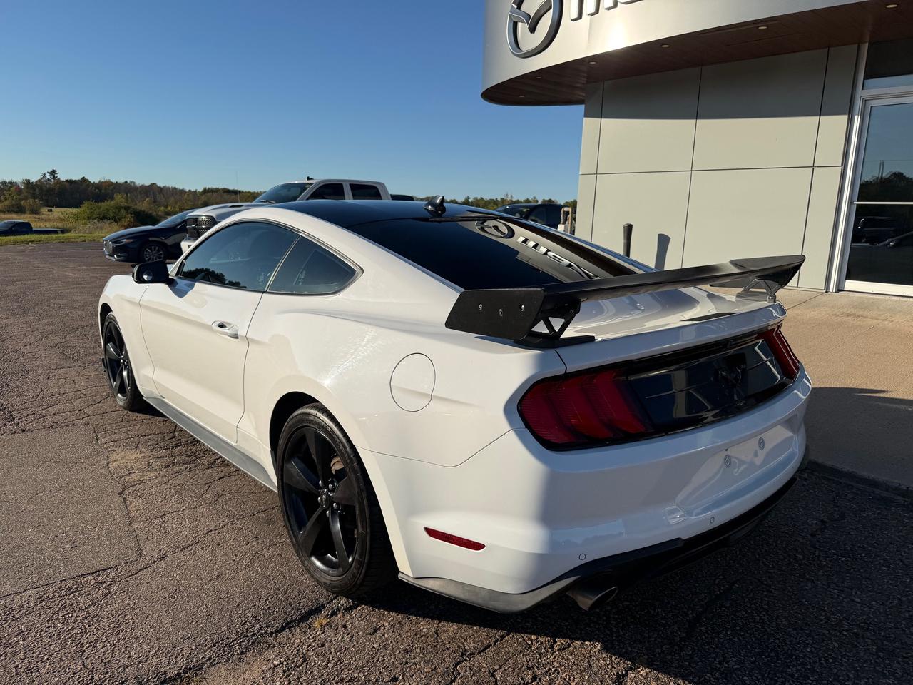 2021 Ford Mustang EcoBoost Premium 2dr Fastback Photo
