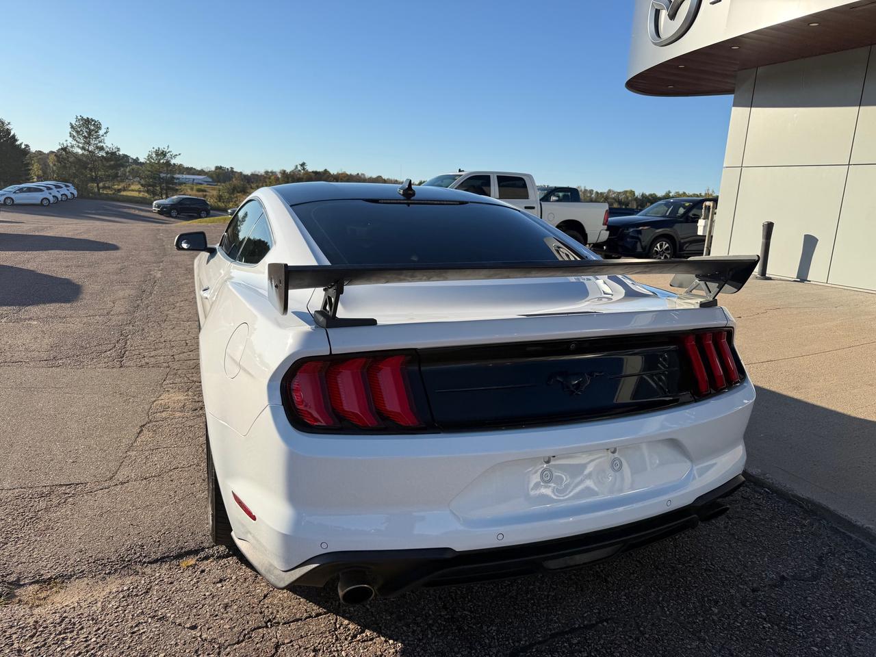 2021 Ford Mustang EcoBoost Premium 2dr Fastback Photo
